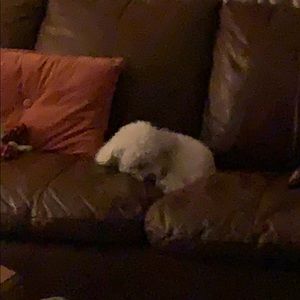 Meet your Posher, Larita